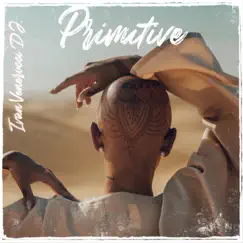 Primitive (Radio Edit) Song Lyrics