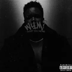 WYM (What You Mean) - Single by SojiGotIt album reviews, ratings, credits