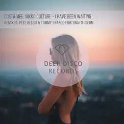 I Have Been Waiting (feat. Nando Fortunato) [Nando Fortunato Remix] Song Lyrics