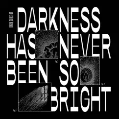 Darkness Has Never Been so Bright (Dark Slice 1) - EP by Pete Herbert, DJ Steef & Relatif Yann album reviews, ratings, credits