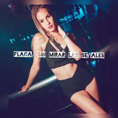 Flaca (feat. Dj Agustin) [Remix Fiestero] Song Lyrics