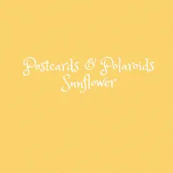Sunflower - Single by Postcards & Polaroids album reviews, ratings, credits