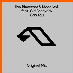 Can You (feat. Gid Sedgwick) [Extended Mix] Song Lyrics