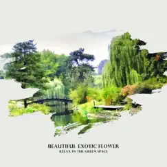 Beautiful Exotic Flower – Relax in the Green Space by Various Artists album reviews, ratings, credits