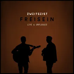 Ohne Umweg (Unplugged) [Live] Song Lyrics