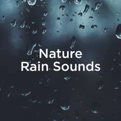 Nature Rain Sounds by Rain Sounds & Rain for Deep Sleep album reviews, ratings, credits