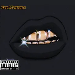 Flex & Finesse by Gee Montana album reviews, ratings, credits