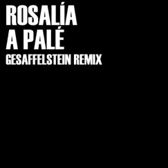A Palé (Gesaffelstein Remix) Song Lyrics