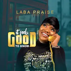 It Feels Good to Know - Single by Laba Praise album reviews, ratings, credits