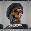 Shining (feat. Tru-Barz) - Single album lyrics, reviews, download