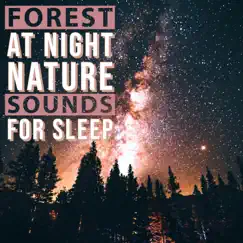 Nightly Forest Animal and Wind Sounds Song Lyrics