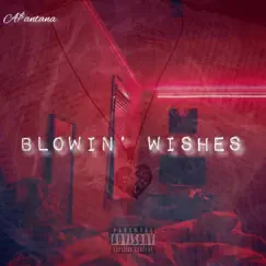 Blowin' Wishes Song Lyrics