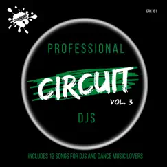 Professional Circuit Djs Compilation, Vol. 3 by Various Artists album reviews, ratings, credits