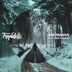 Snowman (feat. Dirty Heads) - Single by Tropidelic album reviews, ratings, credits