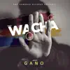 Wacha - Single album lyrics, reviews, download