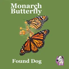 Monarch Butterfly Song Lyrics