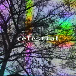 Celestial - Single by Swirvin Irvin album reviews, ratings, credits