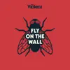 Fly on the Wall - Single album lyrics, reviews, download