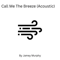 Call Me The Breeze (Acoustic) Song Lyrics