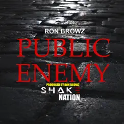 Public Enemy - Single by Shake Nation & Ron Browz album reviews, ratings, credits