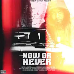 Now or Never by Fameos album reviews, ratings, credits