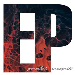 Somewhat Incognito - EP by Somewhat Incognito album reviews, ratings, credits