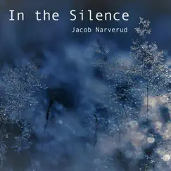 In the Silence - Single by Jacob Narverud album reviews, ratings, credits