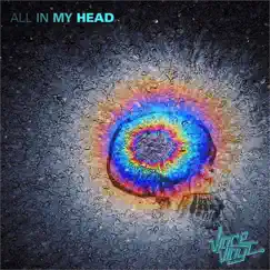 All in My Head - Single by Vince vinyl album reviews, ratings, credits