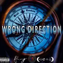 Wrong Direction - Single by Cosmic & Hunna Fling album reviews, ratings, credits
