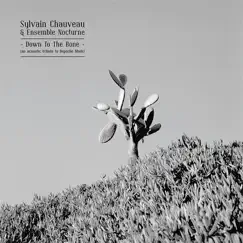 Down to the Bone (An Acoustic Tribute to Depeche Mode) by Sylvain Chauveau &  Ensemble Nocturne album reviews, ratings, credits