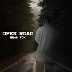 Open Road - Single by Seán Fox album reviews, ratings, credits