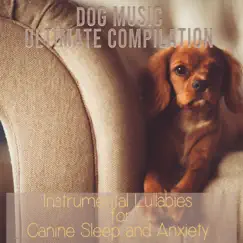 Dog Music Ultimate Compilation: Instrumental Lullabies for Canine Sleep and Anxiety by Relaxmydog, Dog Music Dreams & Dog Music Therapy album reviews, ratings, credits