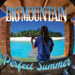 Perfect Summer by Big Mountain album reviews, ratings, credits