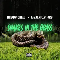 Snakes in the Grass (feat. L.E.G.A.C.Y. 720) Song Lyrics