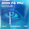 Non Fa Più Male (feat. Willa) - Single album lyrics, reviews, download