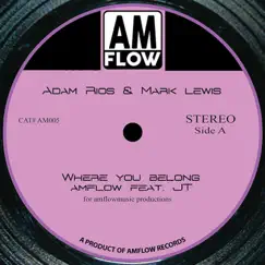 Where You Belong (feat. JT) - Single by AmFlow album reviews, ratings, credits