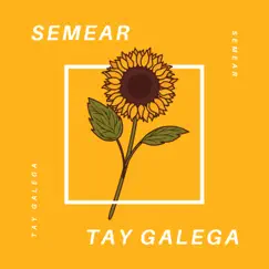 Semear - Single by Tay Galega album reviews, ratings, credits