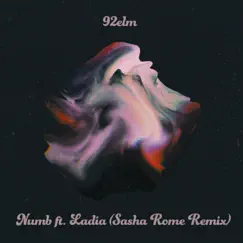 Numb (Sasha Rome Remix) [feat. Ladia] Song Lyrics