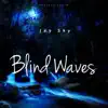 Blind Waves (feat. Feki & Pluko) - Single album lyrics, reviews, download