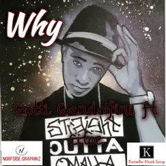 Why (feat. Citoe) - Single by Gotti Gandolfini album reviews, ratings, credits