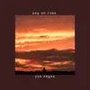 Sky on Fire - Single album lyrics, reviews, download