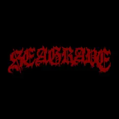 Onslaught - Single by SEAGRAVE album reviews, ratings, credits