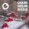 Liquid Drum & Bass Sessions 2020 Vol 17 album lyrics, reviews, download