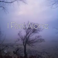 I Feel Alone Song Lyrics