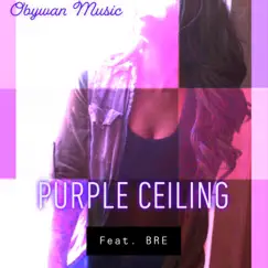 Purple Ceiling (feat. BRE) Song Lyrics