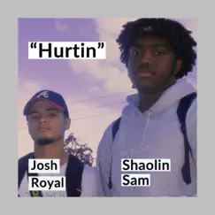 Hurtin (feat. Shaolin Sam) - Single by Josh Royal album reviews, ratings, credits