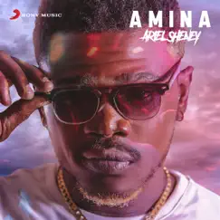 Amina - Single by Ariel Sheney album reviews, ratings, credits