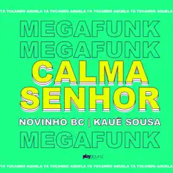 Mega Funk: Calma Senhor (Remix) Song Lyrics