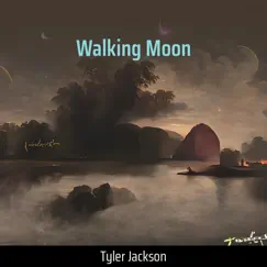 Walking Moon Song Lyrics