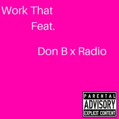 Work That (feat. Radio & Don B) - Single by Shykym album reviews, ratings, credits